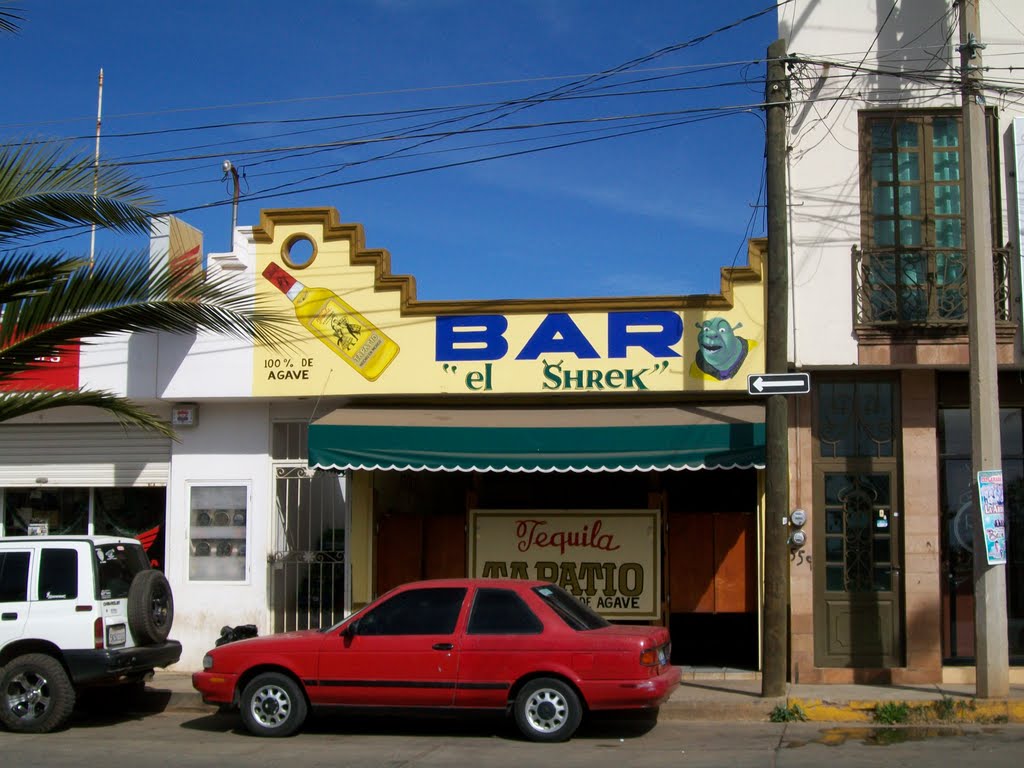 Bar "el Shrek", Arandas, Jalisco