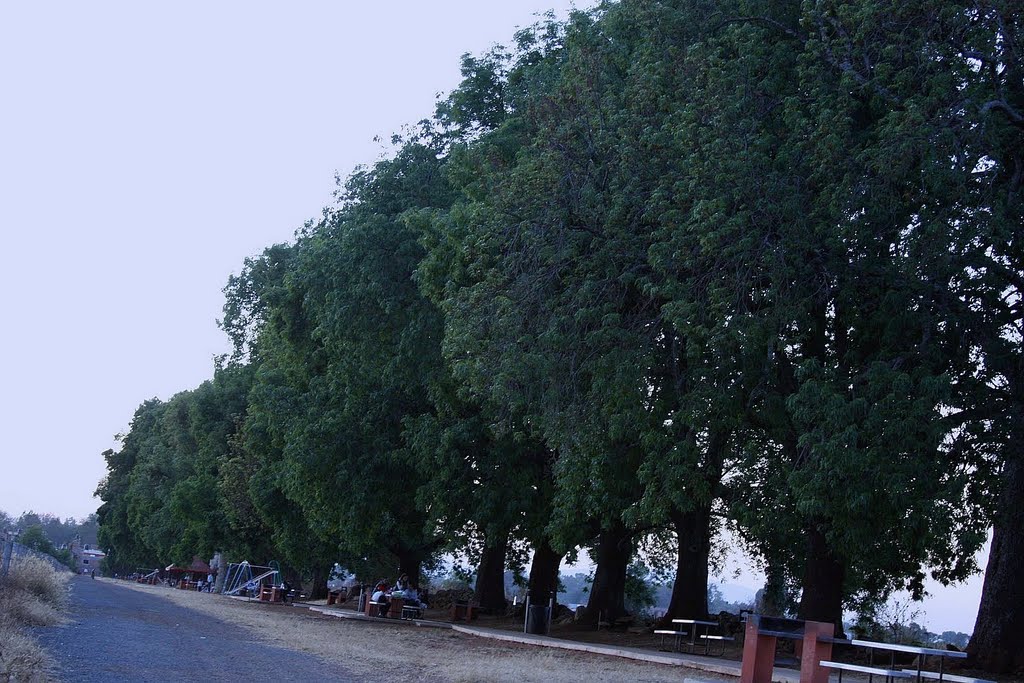 Los 30 fresnos Arandas Jal México