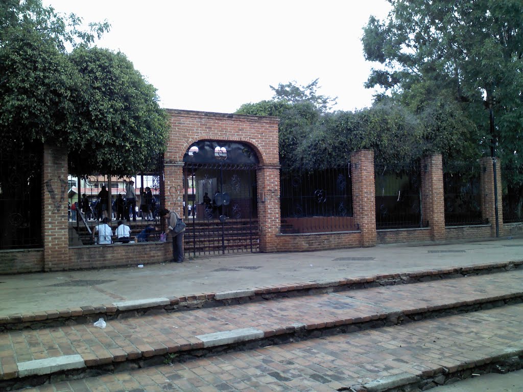 escuela panteón viejo