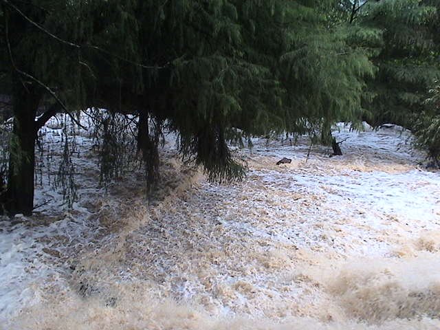 Rios Los sabinos
