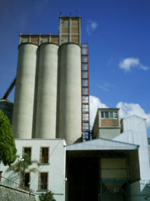 Harinera Atotonilco