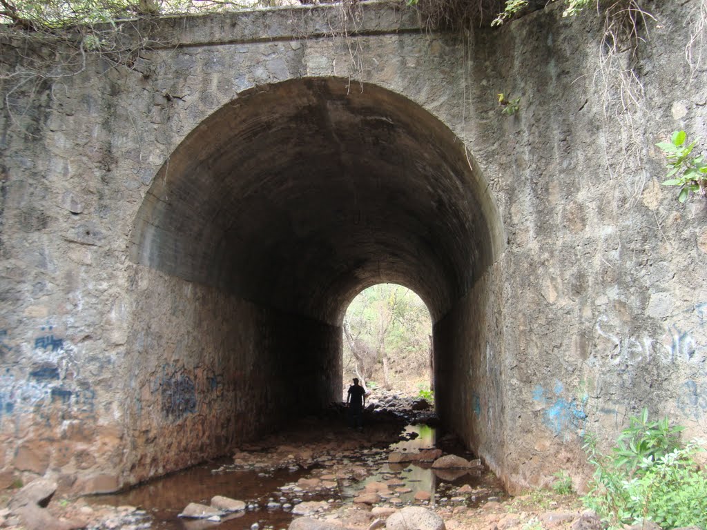 Puente sobre el rio