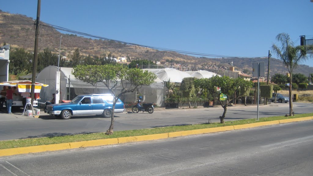 calle prinsipal en atoto,, el alto jal