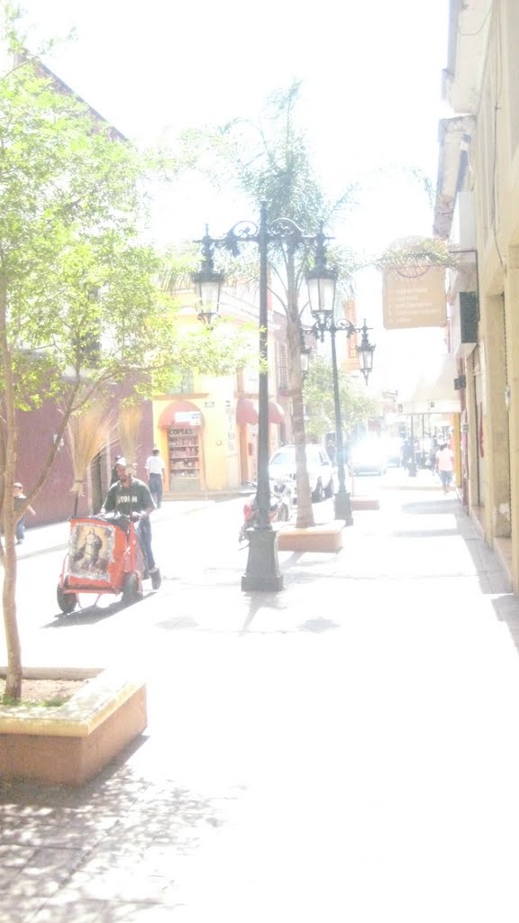 atoto, el alto, jal