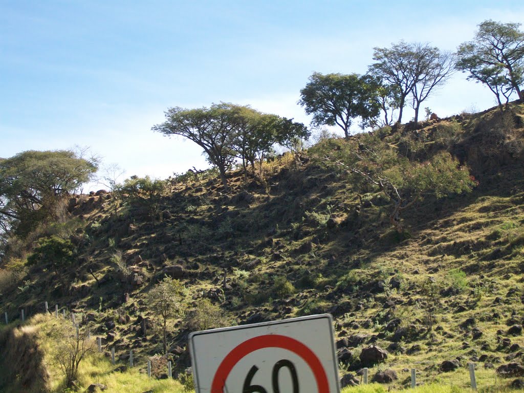 (60 km/h) Cerro junto a la carretera