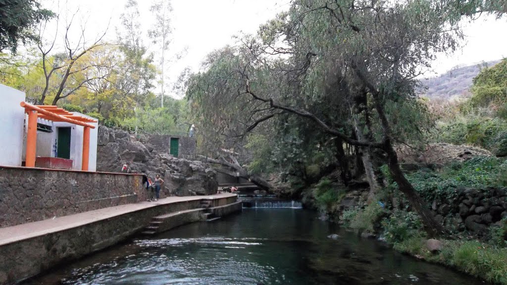 Parque Taretan