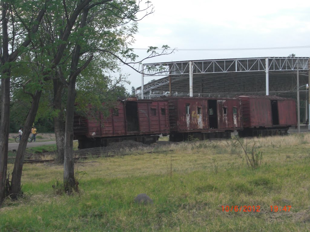 VAGONES DE TREN (LA GUAYABA) JUN-2012