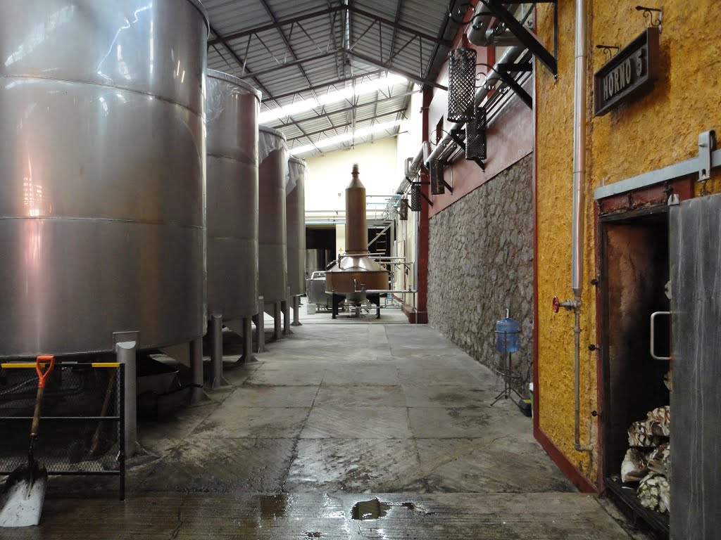 TEQUILA SIETE LEGUAS