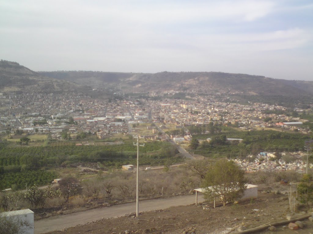 vista parnoramica