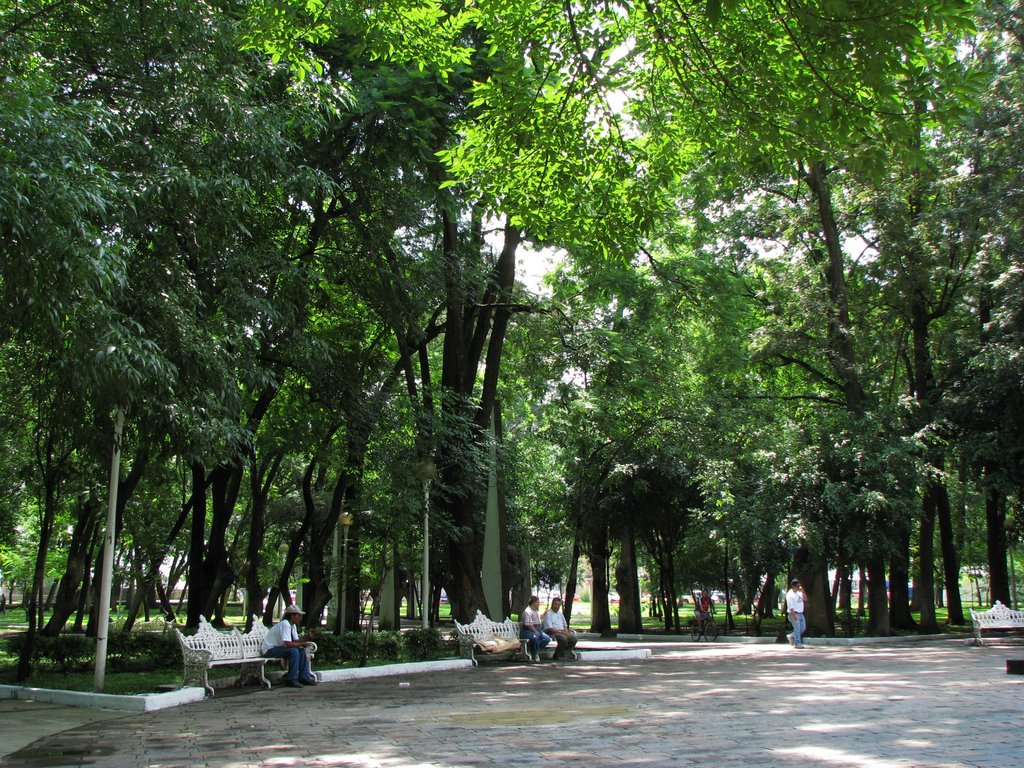 Parque Morelos