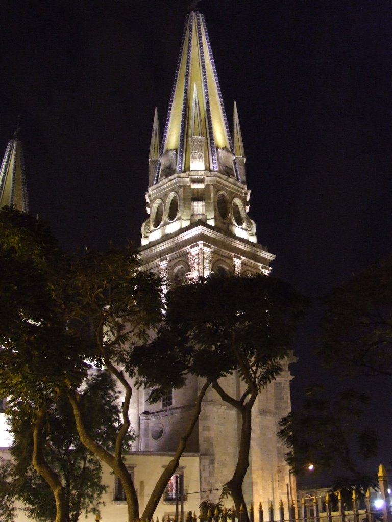 Cathedral Detail at Night