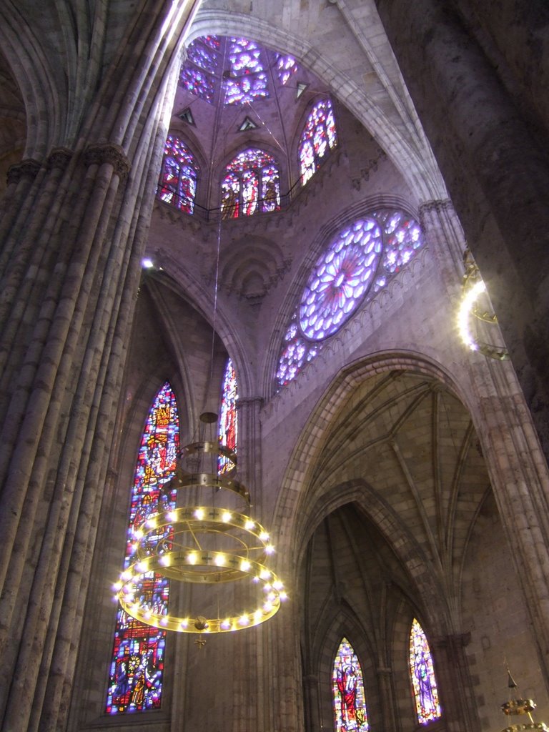 Vitrales del Templo Expiatorio,Guadalajara,Jal.