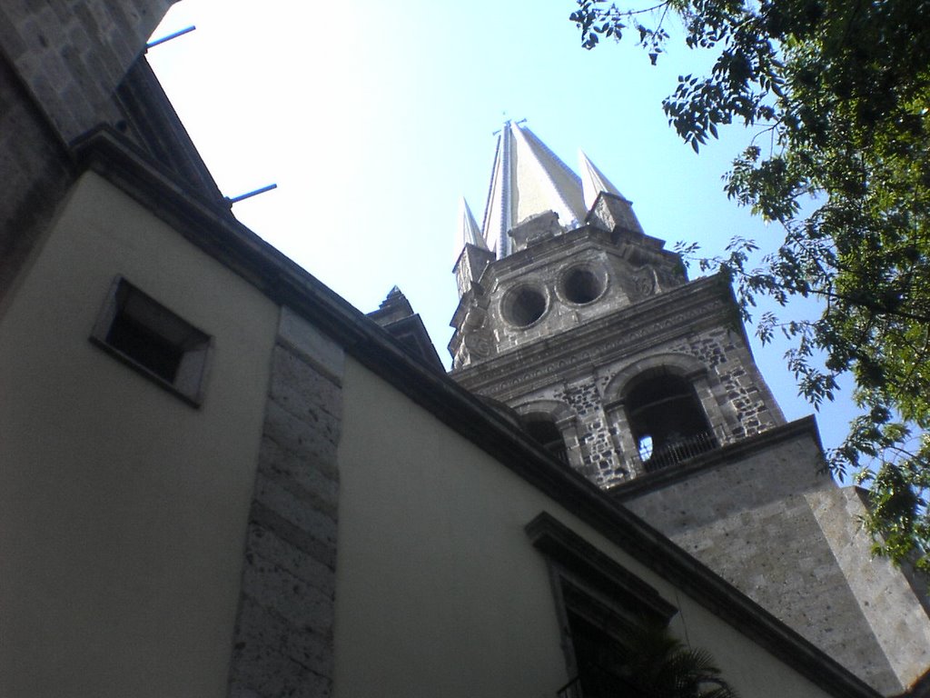 Lado sur de la catedral