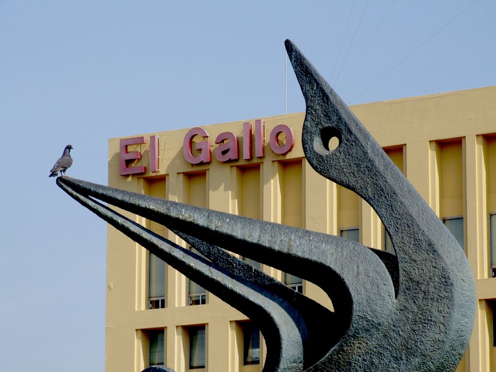 El Gallo, la paloma y la Serpiente