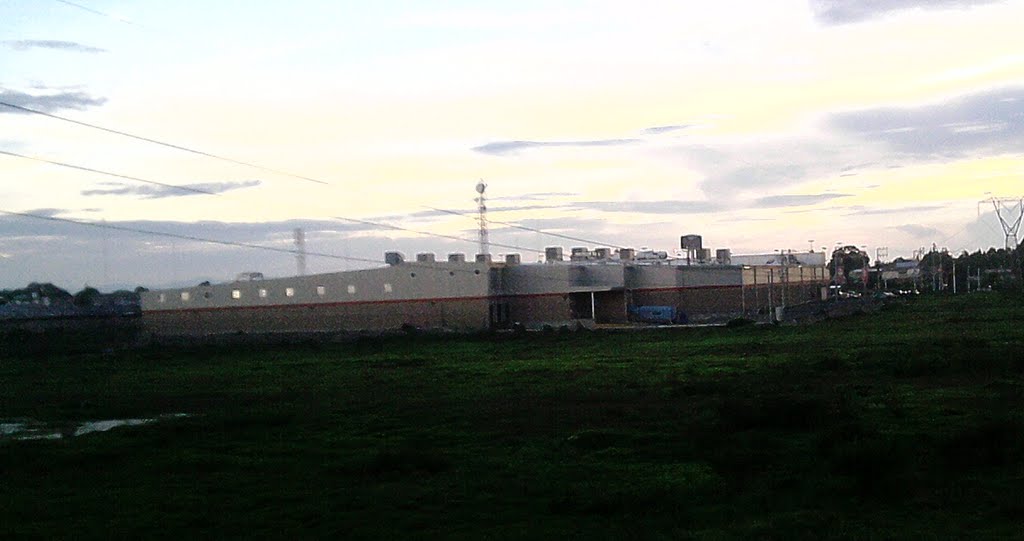 SORIANA VISTA DESDE ATRAS