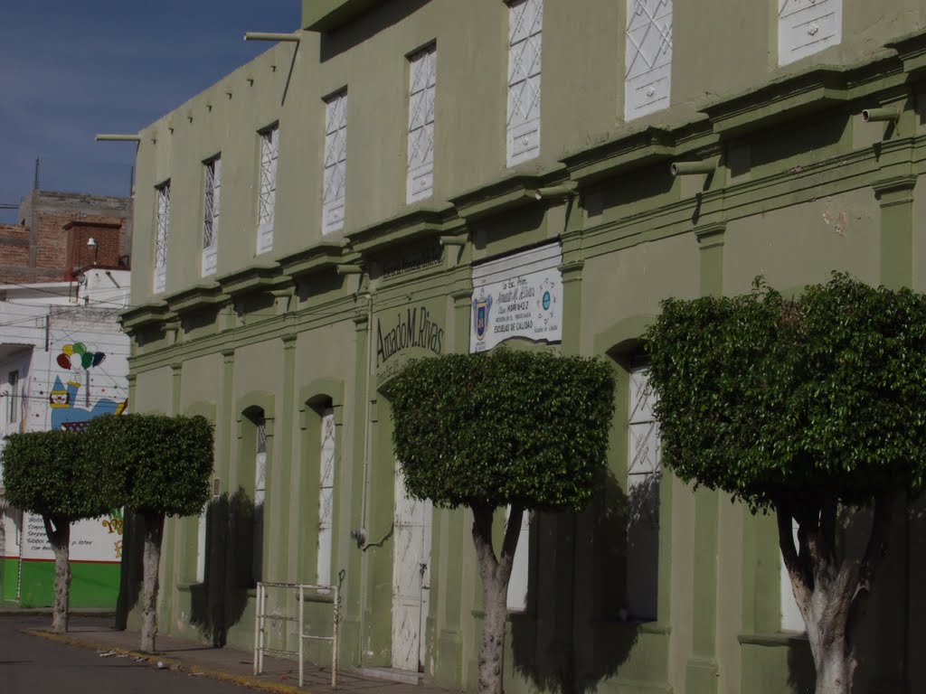 Escuela primaria