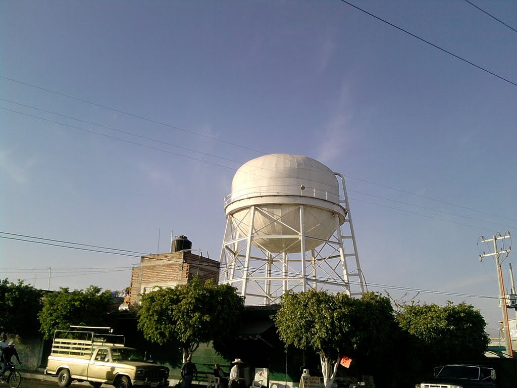 "La bola del agua"-liconsa