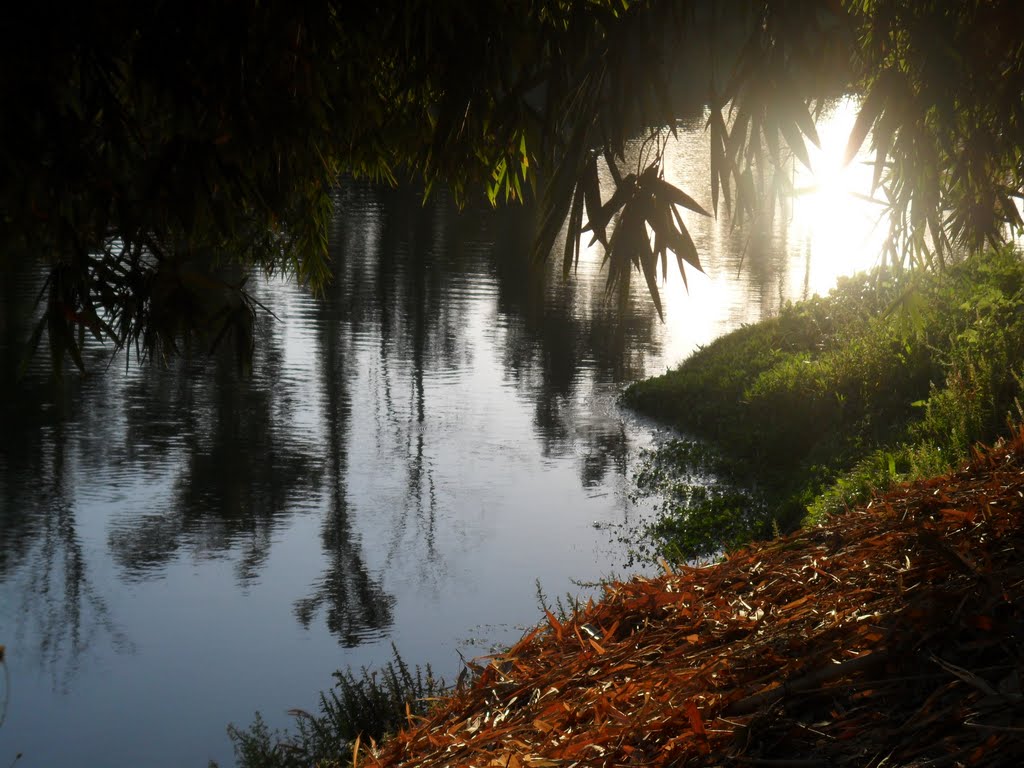 Rio Lerma