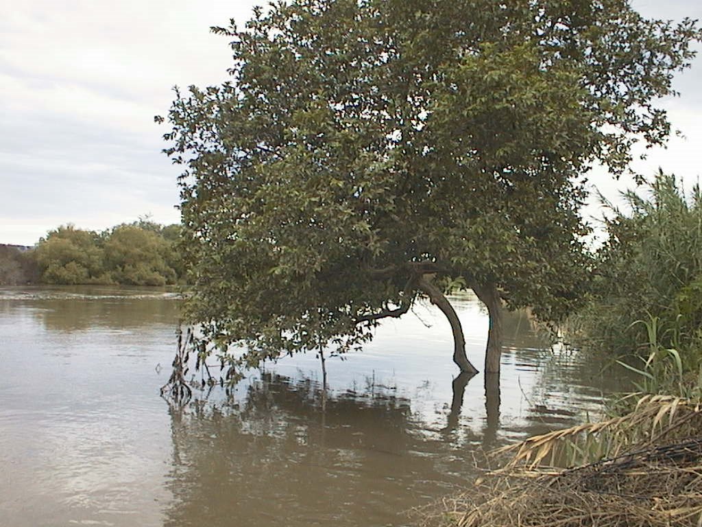 Rio Lerma