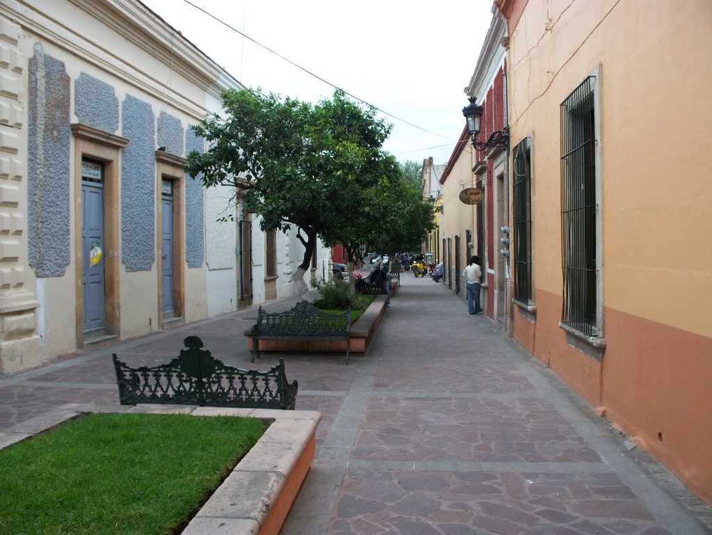Andador en Lagos