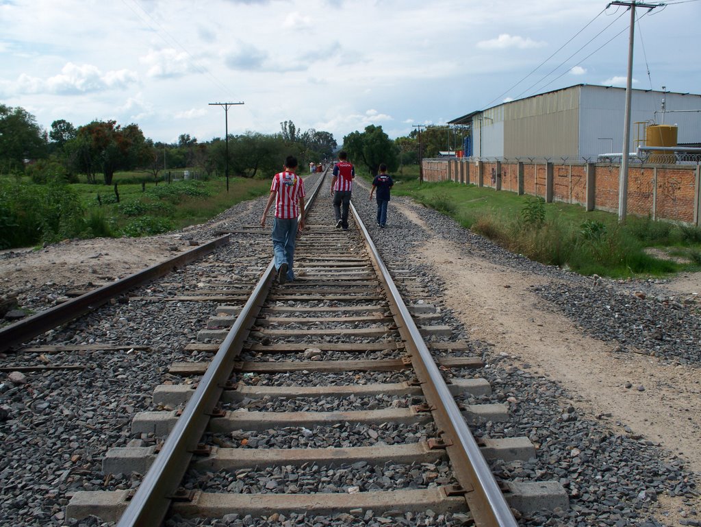 La via del tren en Lagos