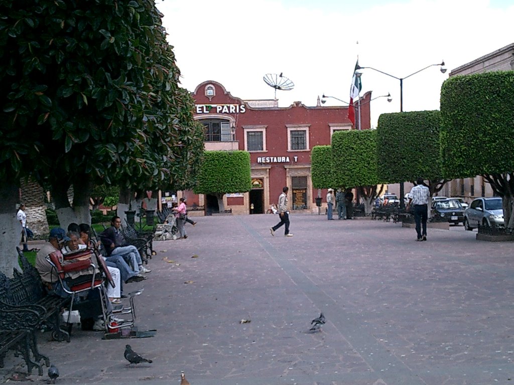 el paris restaurante