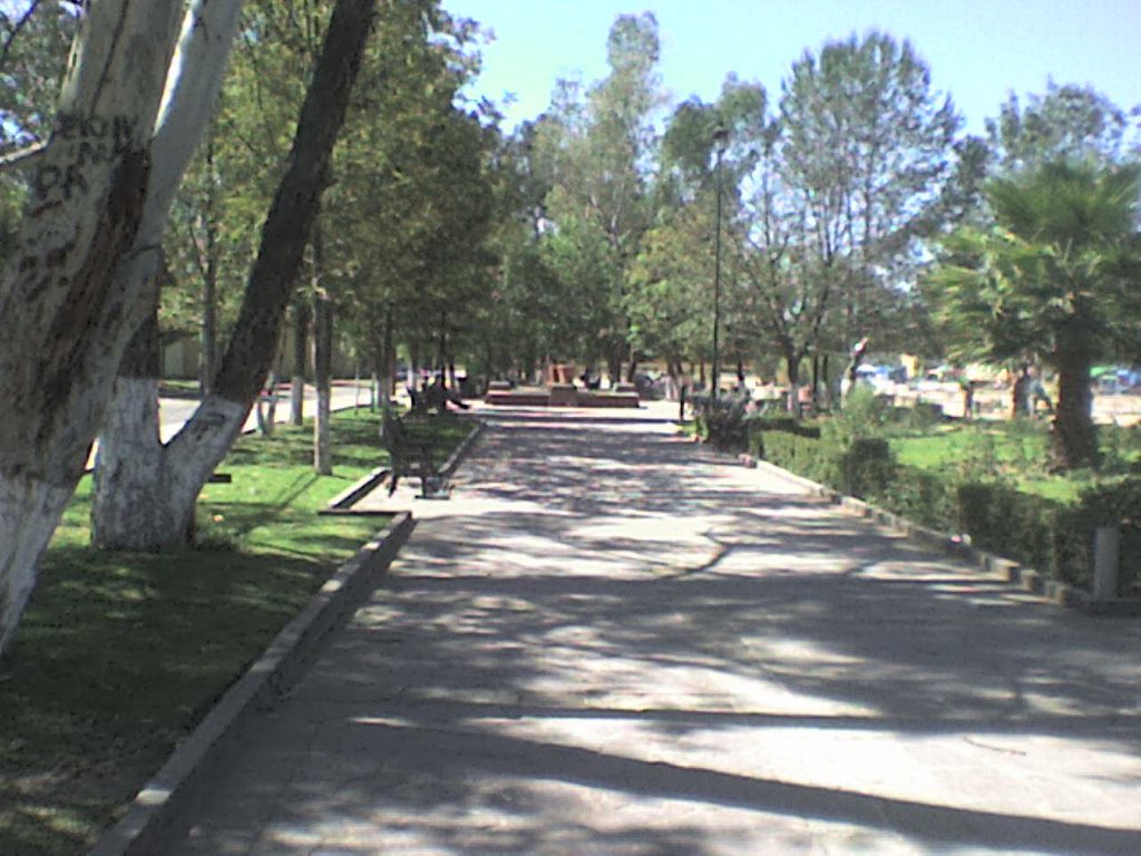 jardin Luis Donaldo Colosio en la otra banda