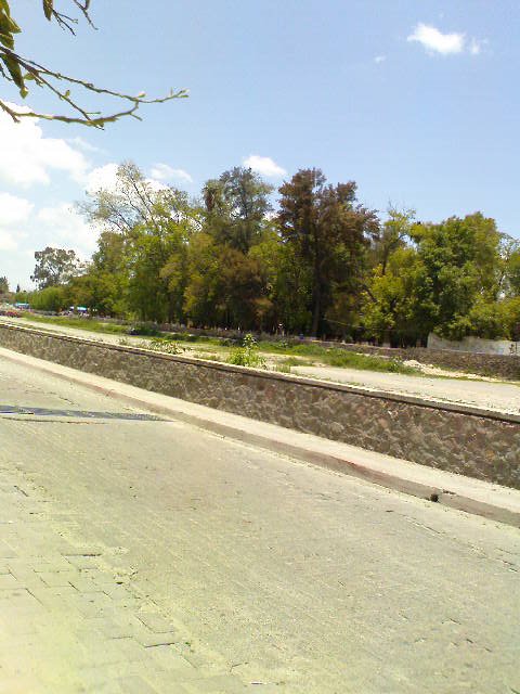 Vista del Jardin Agustin Rivera desdel la otra Banda