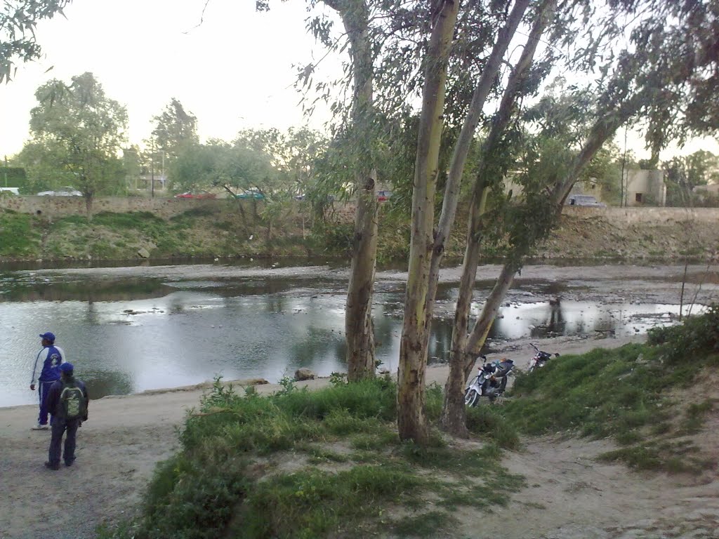 rio en lagos de moreno