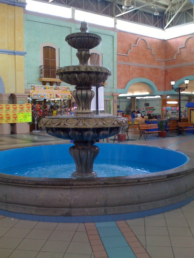 Pila en sentro comersial, en la Ciudad de Lagos de Moreno, Jalisco, Mexico.