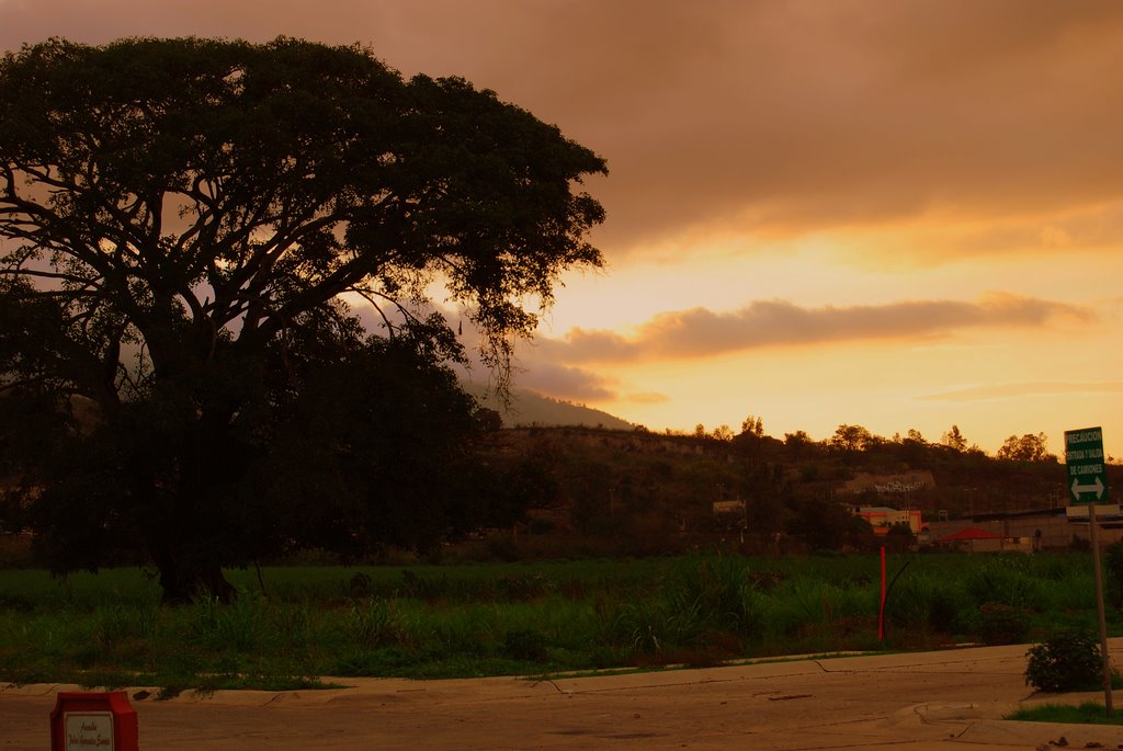 Sunset in Tepic