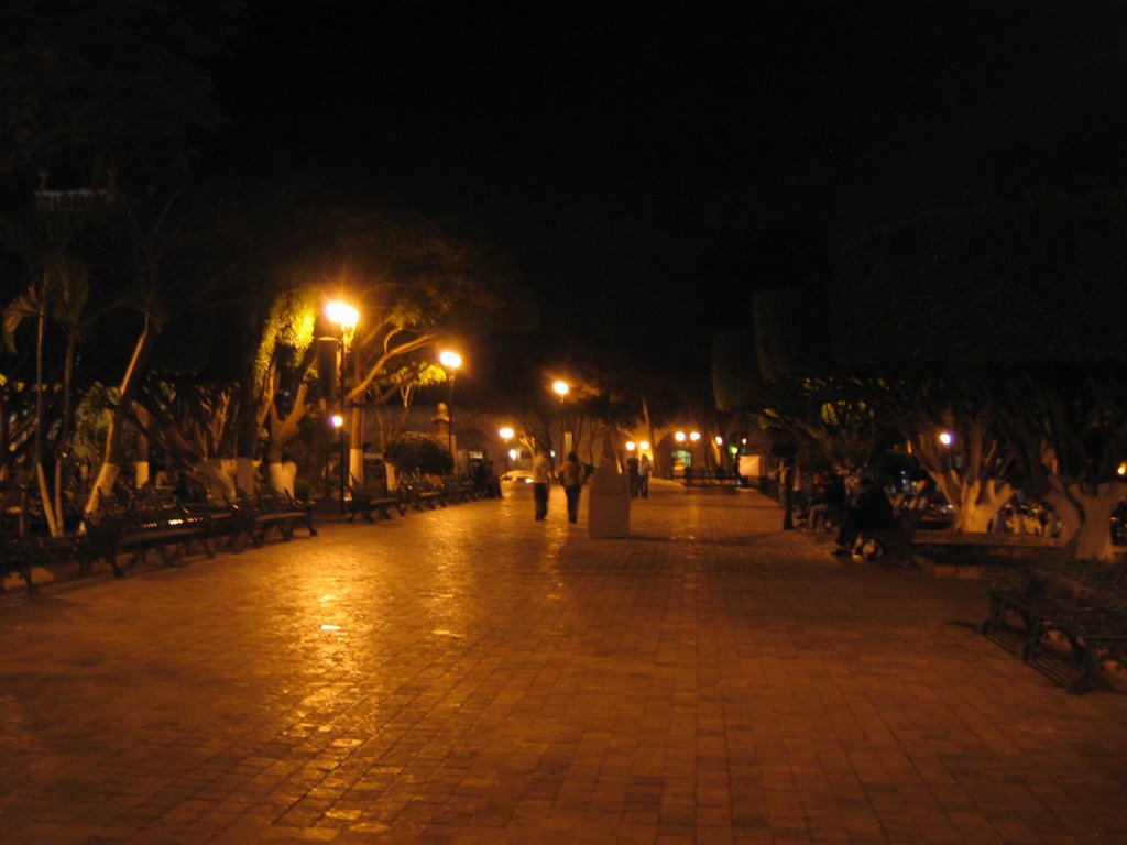 Parque Central de Comitan de noche