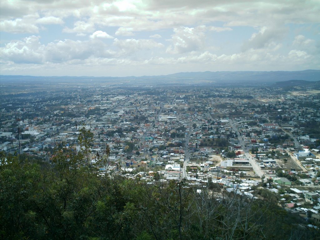 Comitán de Domínguez