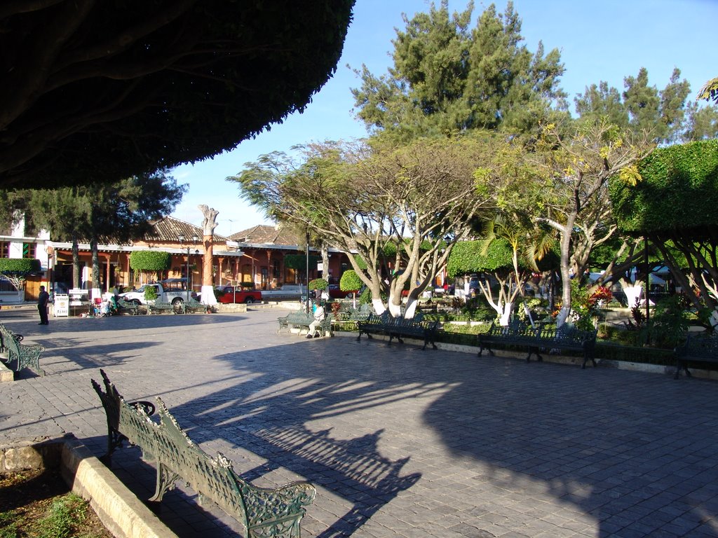 jardin de comitan