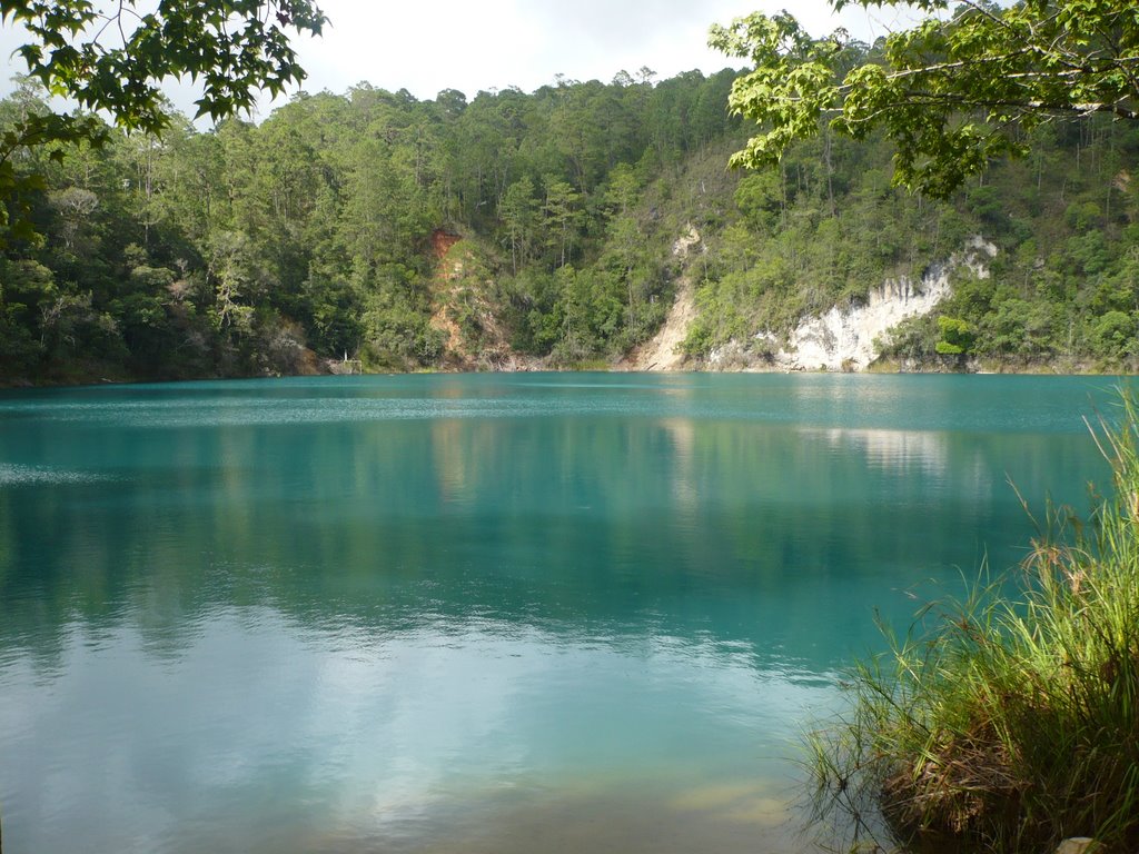 Monte bello