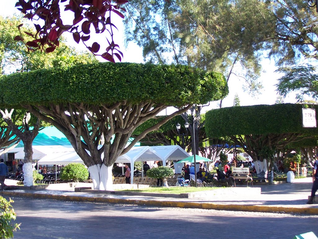 Parque Central, Comitan, Chiapas