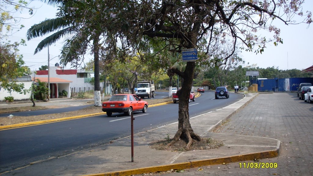 Boulervard Gustavo Díaz Ordaz (Plaza Boulevard)