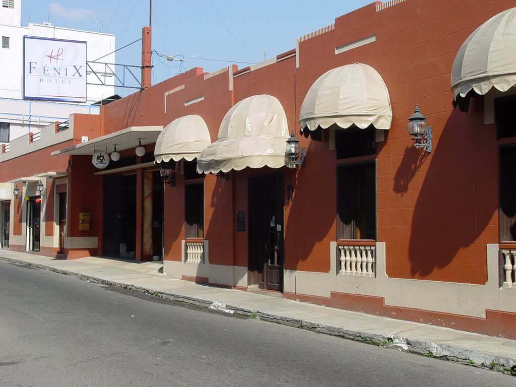 Hotel Fénix