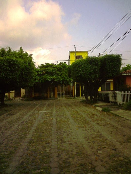 fovi