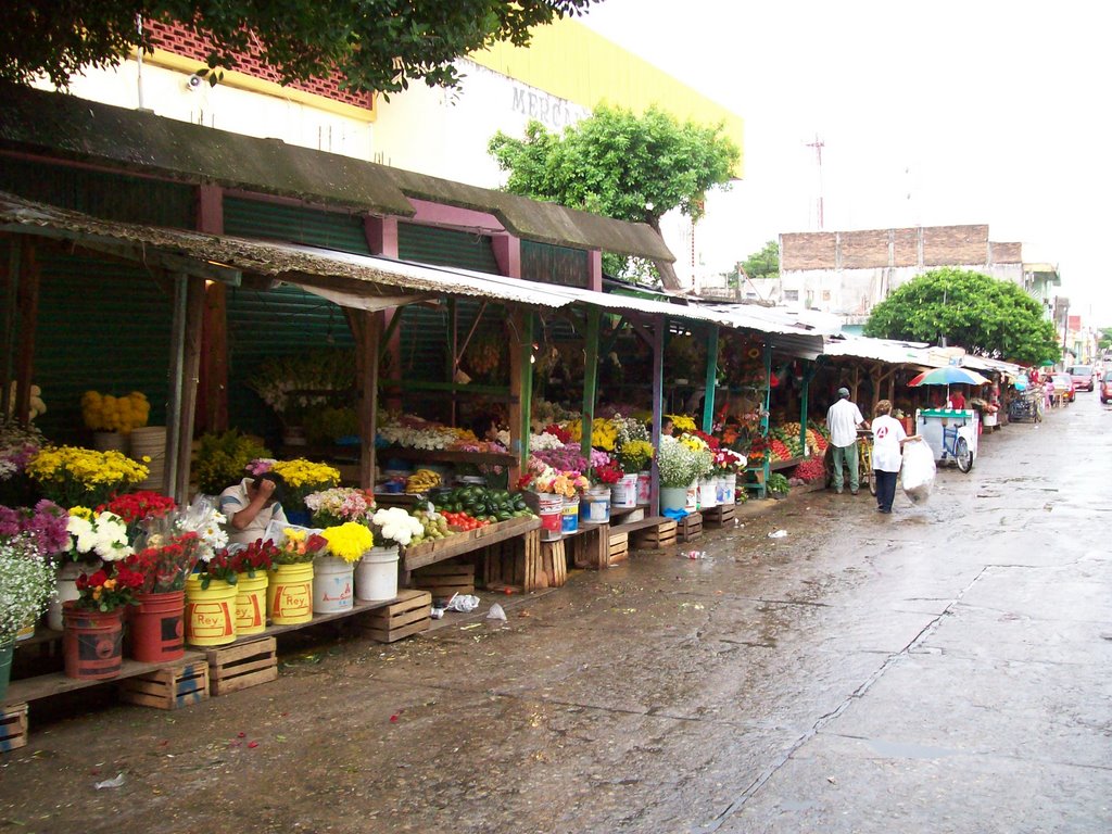 Mercat de Flors de Tonalà-Chiapas-Méxic.