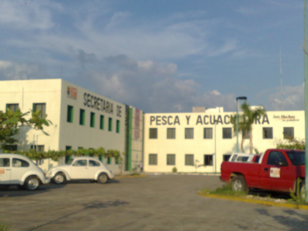Secretaria de Pesca y Acuacultura