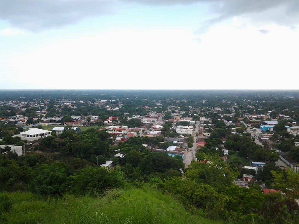 buena vista