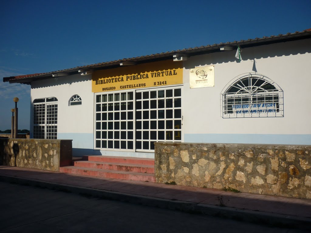 Biblioteca Pública Virtual