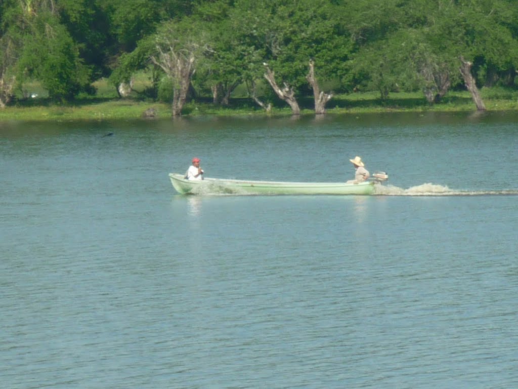 "Cayuco" En La Laguna