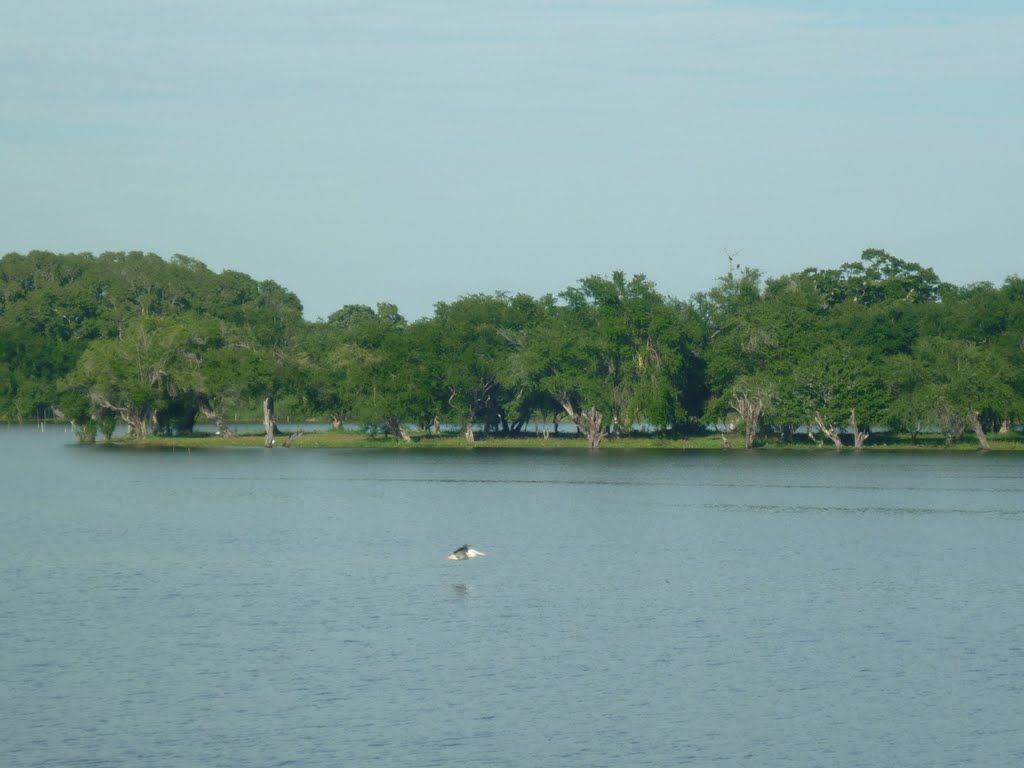 Laguna De Catazajá