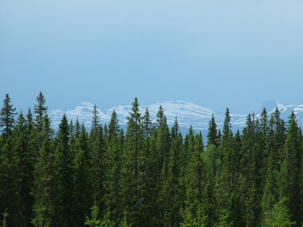 Åre