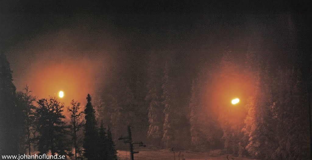 Kvällsskidåkning