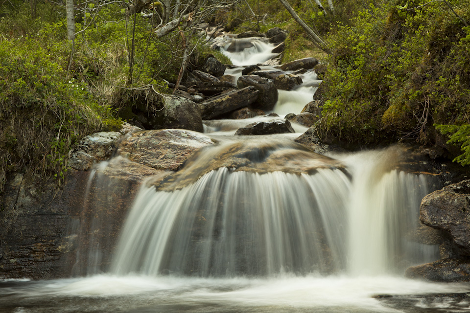 Small creek in Moldemarka