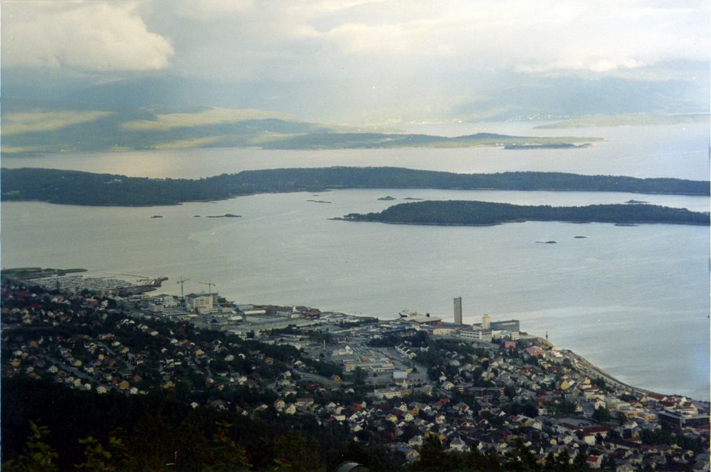 Molde