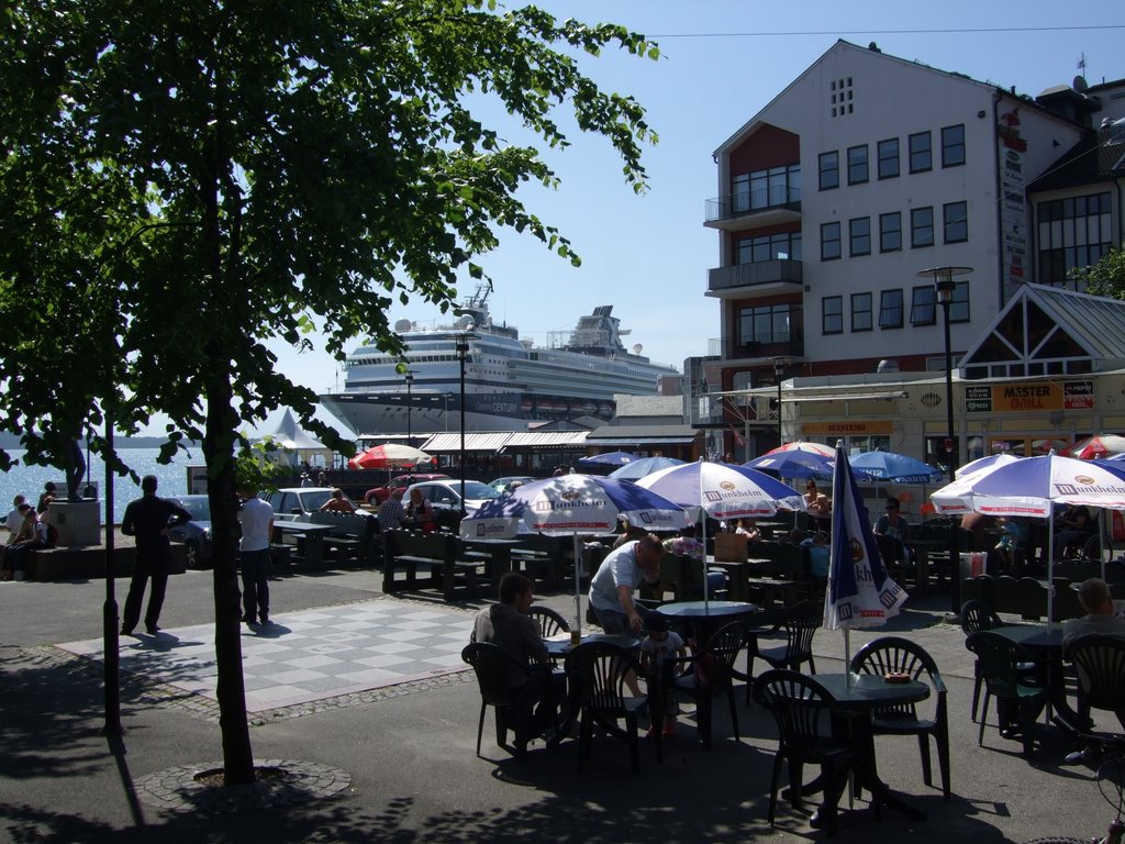 Molde